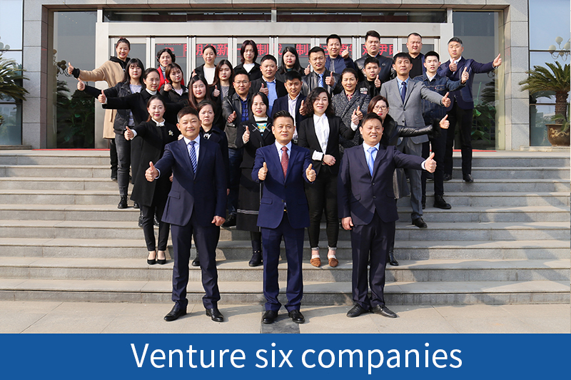  Venture six companies